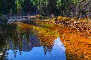 Merced River-5824.jpg